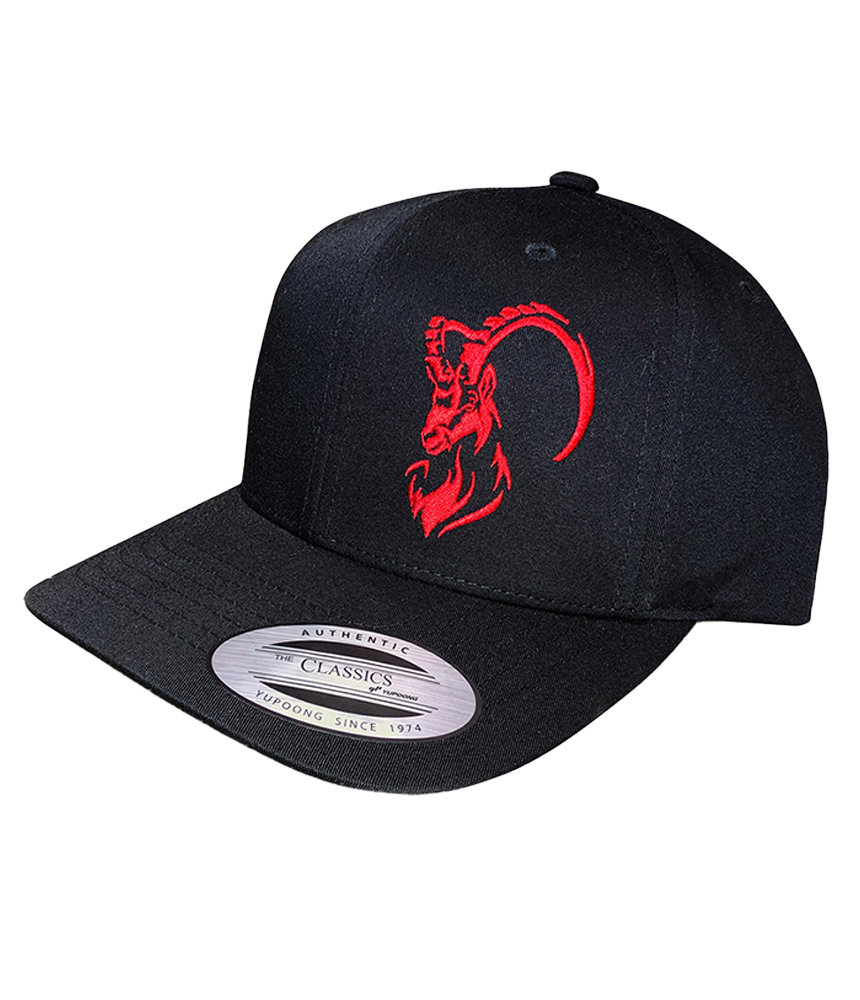 Die Friends Snapback Cap